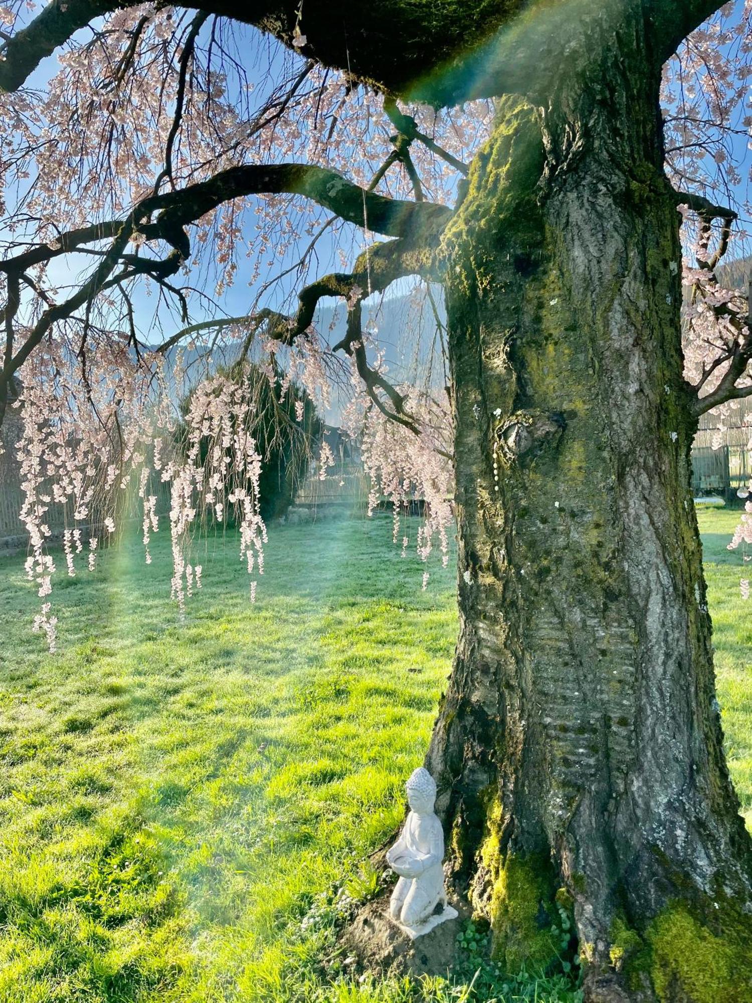 Paradiso Sul Lago Calceranica al Lago Luaran gambar